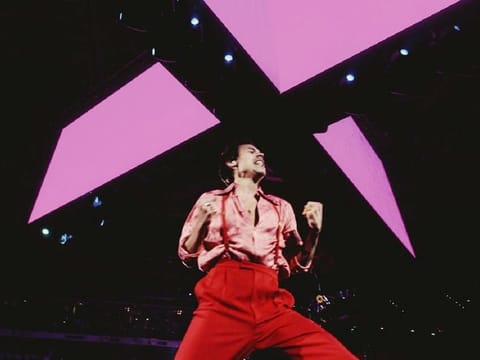 Harry Styles has forged a reputation as one of the most stylish singers in the music business.