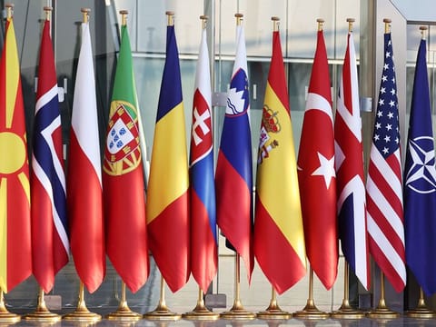This general view shows flags of some of the participating nations of Nato