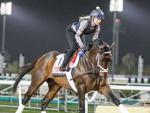 Life Is Good is the one to stop at the 2022 Dubai World Cup