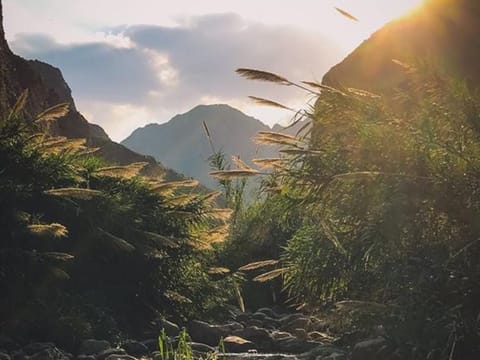 Wadi Wurayah.