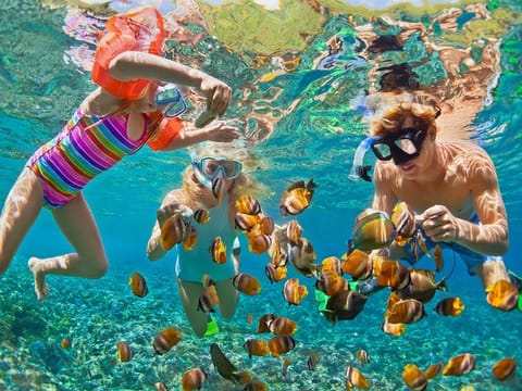 Swim with the fishes during your time out. | Above: Photo for illustrative purposes only.