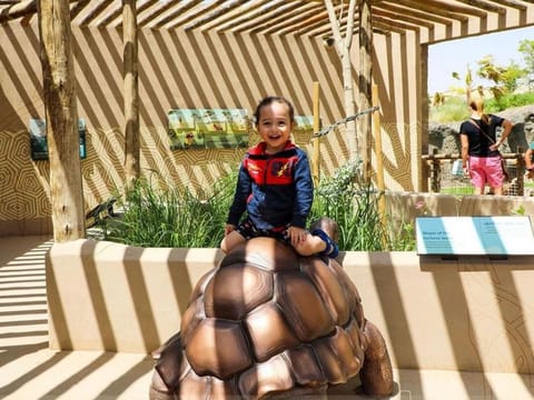A child having fun at Sharjah Safari.