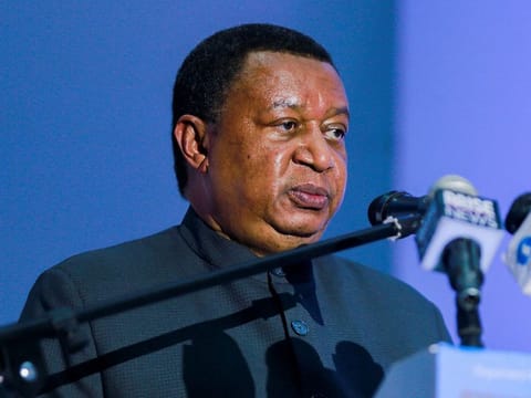 Late OPEC secretary-general Mohammad Barkindo speaks while addressing delegates at the opening of the Nigeria Oil & Gas 2022 meeting in Abuja, Nigeria