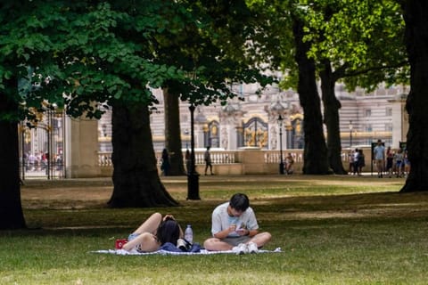 People take shelter from the sun in Green Park, in London.
