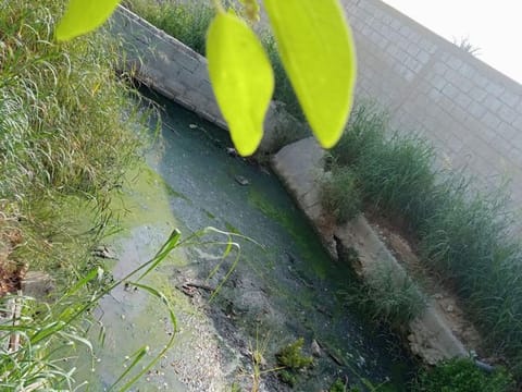 The campaign on septic tank maintenance, which will run until next month, is being organised by Tadweer in partnership with the Abu Dhabi Agriculture and Food Safety Authority.