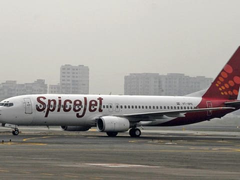 The announcement sent the company's shares up 3.7% in afternoon trade.