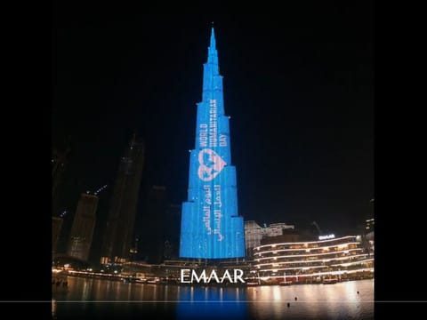 Lighting Burj Khalifa with the WHD logo and campaign slogan for the second consecutive year demonstrates the "solid partnership" between the government of the UAE and UN-OCHA