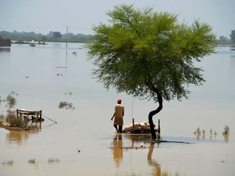 A villager uses cots to save usable items after salvaging from his flood-hit home, in Jaffarabad, a district of Pakistan's southwestern Baluchistan province, Saturday, Aug. 27, 2022.