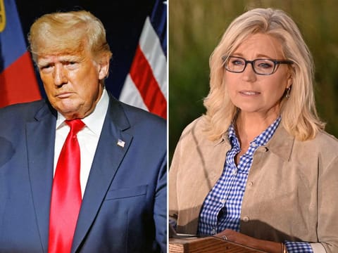 Donald Trump and Liz Cheney