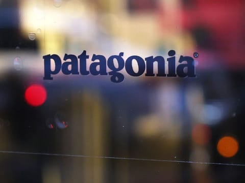 The company's voting stock is being transferred to the Patagonia Purpose Trust while non-voting stock had been given to the Holdfast Collective, a non-profit dedicated to fighting the environmental crisis and defending nature. The trust will be overseen by members of the family.
