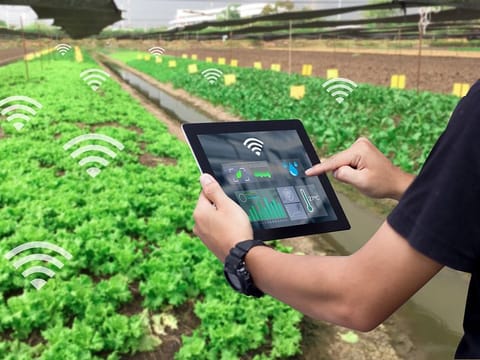 India has been backing agritech focused ventures for some time, along with providing access to technology that matters. The results are showing up on the ground.