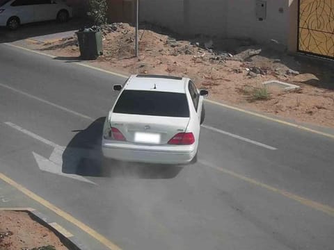 The 26-year-old Gulf national also performed illegal car stunts on an internal road