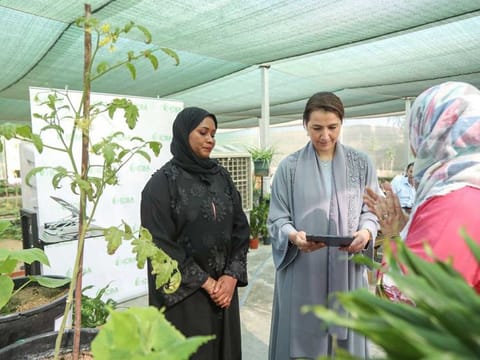 Mariam bint Mohammed Almheiri (centre), Minister of Climate Change and the Environment, launched a new AI-powered mobile application for detecting crop disorders during a ceremony at the headquarters of the International Center for Biosaline Agriculture (ICBA) in Dubai.