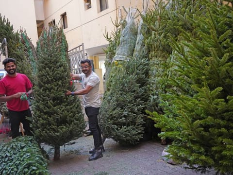 Gulshan Abdul Gafoor and Harshad Aboocker prepare Christmas trees at their shop in Satwa.