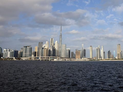 The business of commercial agencies will continue to be exclusive to UAE Nationals only.