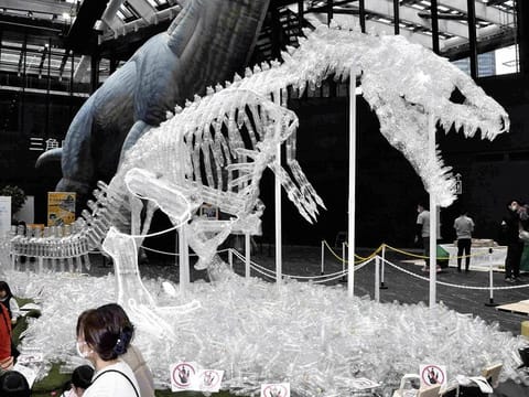 A model dinosaur skeleton made from plastic bottles is seen in the Shinjuku Sumitomo Building in Shinjuku Ward, Tokyo.