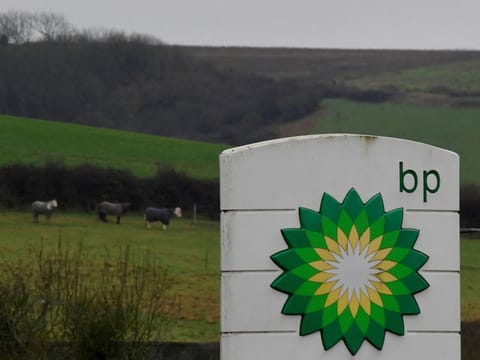 The company said it will increase its focus on low-carbon bioenergy and also set a target to produce 0.5 million-0.7 million tonnes a year of low or zero-carbon hydrogen to initially supply its own refineries.