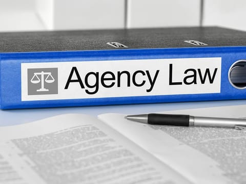 The biggest update to UAE's long-established Commercial Agency Law throws in greater transparency into agreements between international brands and their local partners.