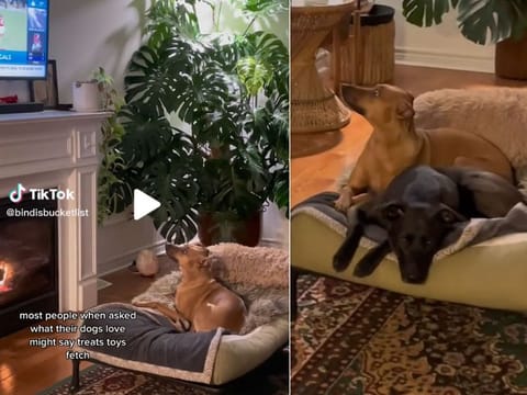 Bindi’s video received more than 2 million views on TikTok