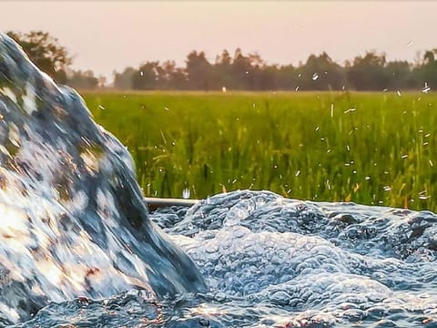 Recycled water can help offset the planned cut in groundwater used in irrigation. Image for illustrative purpose only.