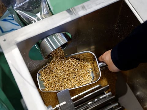 Takemitsu Iwazu, President of Biomass Resin Fukushima shows plastic pellets, that are being produced in a factory line, during an interview with Reuters at its factory in Namie, about 7 km from the crippled Fukushima Dai-Ichi nuclear plant, Fukushima Prefecture.