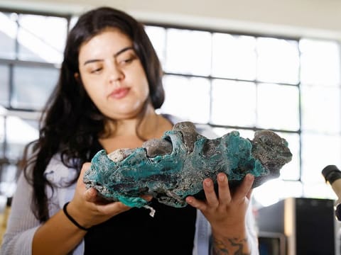 Researcher Fernanda Avelar Santos holds "plastic rocks" found on Trindade Island in the state of Espirito Santo, at the laboratory of the Federal University of Parana, in Curitiba.