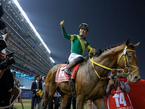 The Dubai World Cup will go ahead as usual