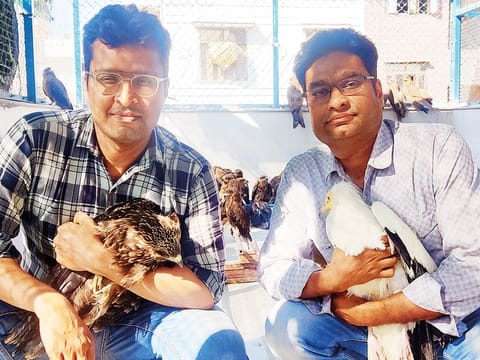 Muhammad Saud holding a black kite and Nadeem Shehzad with an Egyptian vulture in their office at New Delhi