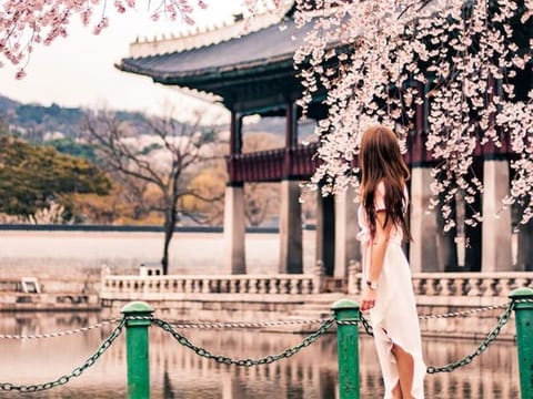 How Korean dramas sparked a cultural transformation in my Dubai office