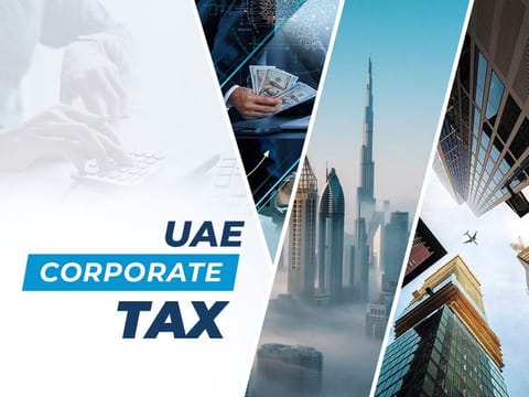 leading UAE free zones are seeing a clear spike in new licenses being issued. What these businesses should do is waste no time in getting their TIN too.