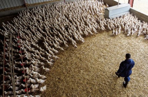 Saudi Arabia has embarked on an agricultural deal spree in recent years after Salic purchased a majority stake in the former Canadian Wheat Board in 2015.