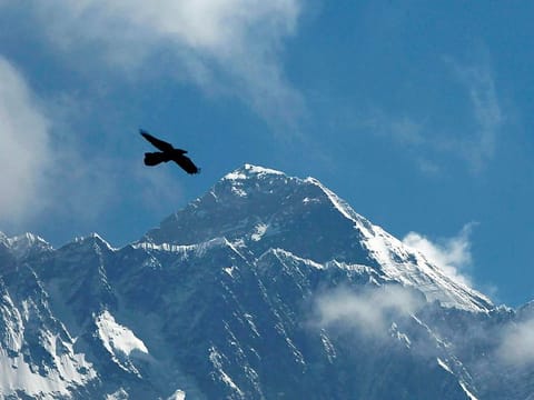 File photo: A bird flies with Mount Everest seen in the background from Namche Bajar, Solukhumbu district, Nepal.