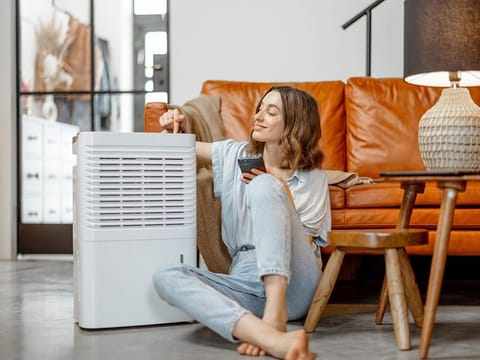 If you've been spotting mould in the bathroom and on the walls around the house, a dehumidifier can help.