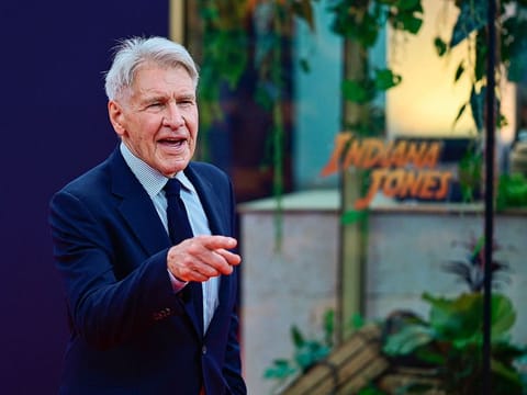 Hollywood actor Harrison Ford