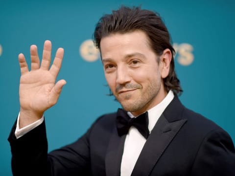 Diego Luna.