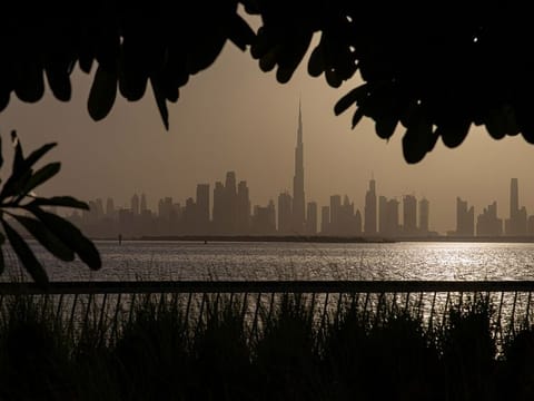 This continued boom in property prices has been fueled by strong demand among local and overseas property seekers for luxury and affordable properties in Dubai.