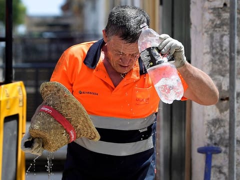AFP