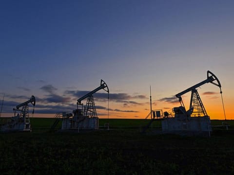 The bullish stance is a reversal of months of relatively bearish positioning and a welcome relief for investors betting on oil strength in the second half of the year as inventories dwindle.