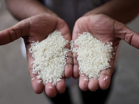 For June and July together, India’s monsoon rains were 5 per cent above average, falling 10 per cent below normal in June but rebounding to 13 per cent above average in July.