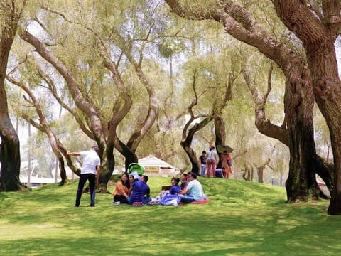 Dubai Municipality’s parks and facilities witness a record-breaking total of over 15 million visitors in the first half of 2023
