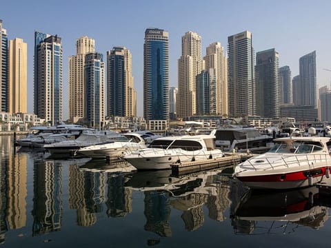 For any justification of building more offplan projects, just look to Dubai's growing population.