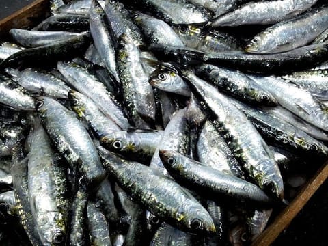 The city centre restaurant had preserved the sardines itself. (For illustrative purposes only)