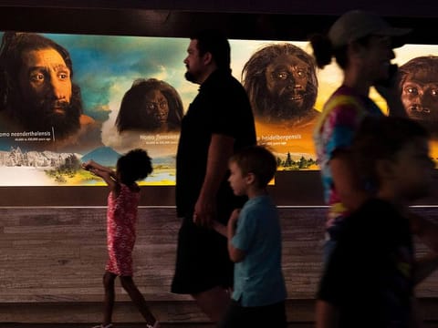 People walk past the faces of human ancestors as they visit the exhibits inside the Smithsonian Hall of Human Origins, Thursday, July 20, 2023, at the Smithsonian Museum of Natural History in Washington. More research is showing that we carry genes from other kinds of ancient humans, and their DNA affects our lives today.