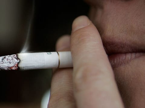 Smoking is found to have more influence on adaptive immunity than other factors such as amount of sleep or physical activity
