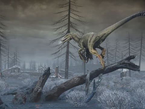 This artist's reconstruction depicts North Dakota in the first months following the impact of an asteroid off Mexico's coast 66 million years ago, showing a dark, dusty and cold world.