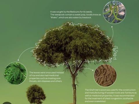 The tree-planting initiative, organised by the Tawazun Industrial Park (TIP) Corporate Social Responsibility Committee, forms part of a broader effort by TIP and Abu Dhabi City Municipality to promote sustainability and protect the environment.