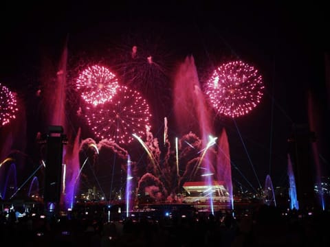 Visitors enjoy a dazzling fireworks display in celebration of the 27th edition of the Dubai Shopping Festival (DSF) on 16th December, 2021. Photo Clint Egbert/Gulf News