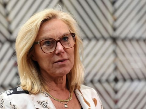 A veteran UN diplomat, Kaag previously headed an international team of weapons experts charged with overseeing the elimination of Syria’s chemical stockpile.