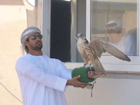 A participant checks his bird at the first Ghayathi Falcons Championship in Abu Dhabi