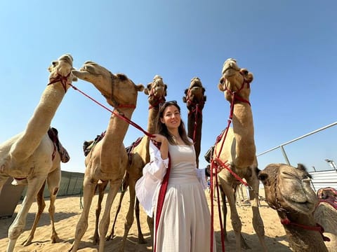 Linda Krockenberger says one can learn to ride the camel in 10-15 classes, but it takes more time to understand them.